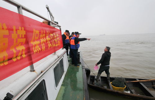关于渔政人员在长江放网抓鱼的谣言解析