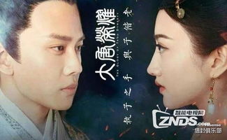 我的娘亲是锦衣卫（79集）剧情解析与感悟