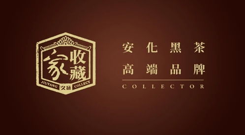 不凡，深度解读101集背后的故事