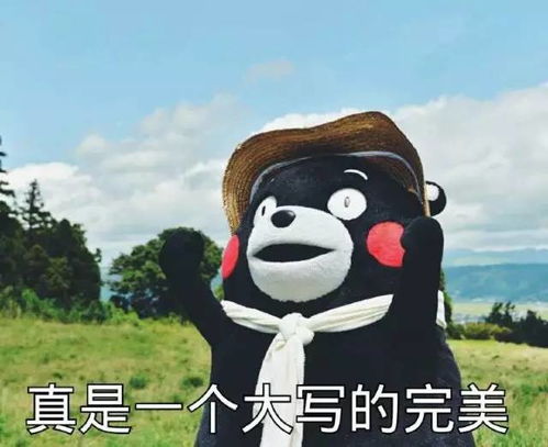 我不是高手（82集）