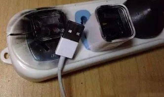 我的充电器男友（99集）