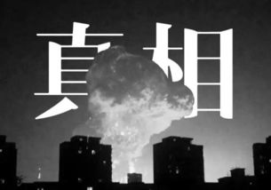 刀迷遭遇演唱会欺诈，被骗40多万背后的警示与反思