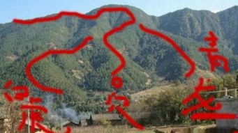 金头御葬马仁山，历史与传奇的交织（60集大型系列剧剖析）