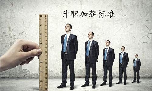 宋秘书又辞职了（第85集），职场风云再起，探寻背后的故事
