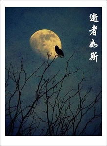 困在时间里的父亲，张楚萱的百集人生旅程