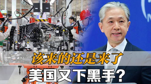 重燃反击，妹妹站起来了（80集）