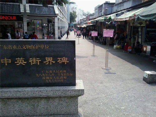 师弟不要啊（80集）剧情深度解析与感悟