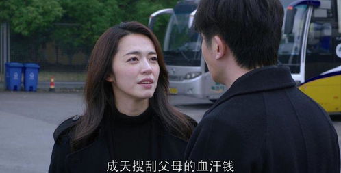 陆总前妻的亿万家产，一场财富与情感的纠葛（76集剧情大纲）