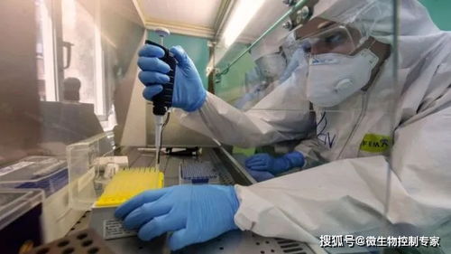 患者称感染登革热比感染新冠还辛苦，经历与对比