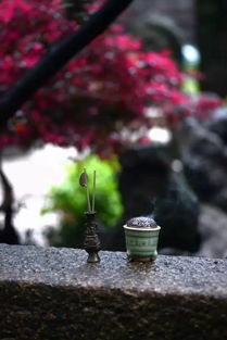 恰逢听雨时（第30集）