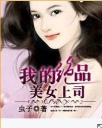 我的绝美女老板（完结）