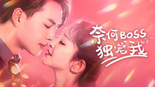 奈何BOSS要契约结婚，一场契约下的甜蜜爱情故事（81集）