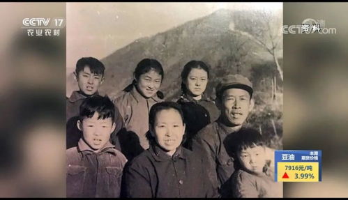 被夺走的人生（70集）
