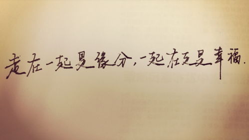 说好的幸福呢（62集），追寻幸福的脚步与反思