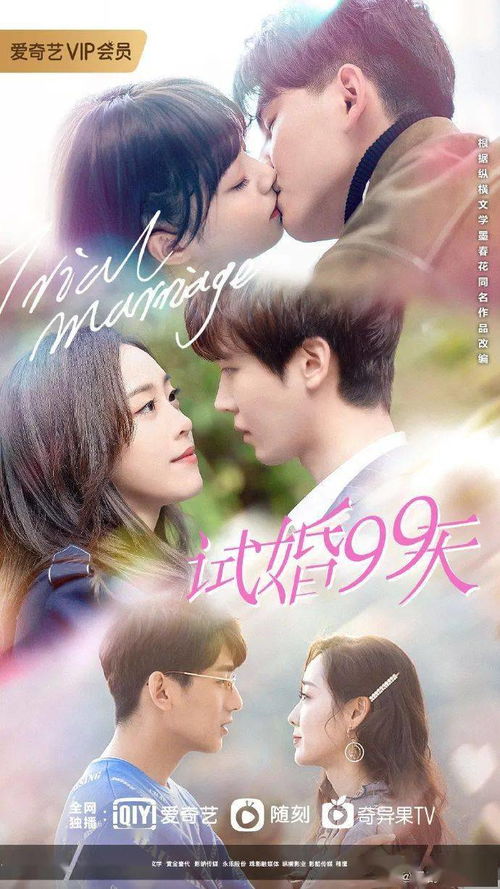 试婚之热恋99天，探寻现代爱情的独特篇章