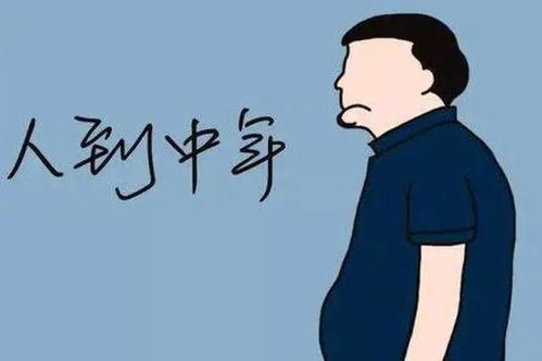 新版电视剧男人四十，深度解读一部关于中年男人的生活纪实（80集）