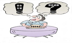 明知故犯，人性的复杂与社会的深度剖析
