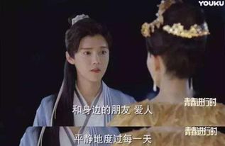 崛起从老婆被打开始（弃少豪婿）——第91集深度解析与感悟