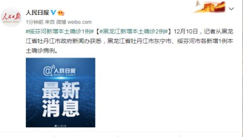 黑莲花质子攻略手册（80集），深度解析与独特洞察