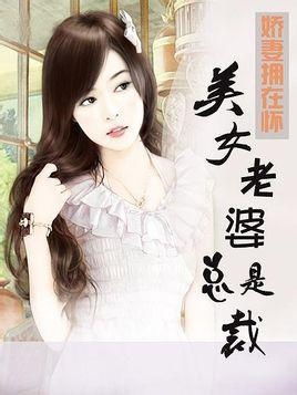 我的美女总裁老婆（111集）