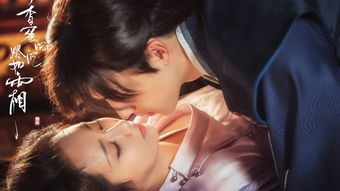 情深不悔（电视剧），一场情感的盛宴（108集）