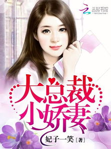 闪婚总裁小娇妻背后的故事与反思