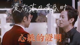 这次换我走向你（75集）赵慧楠