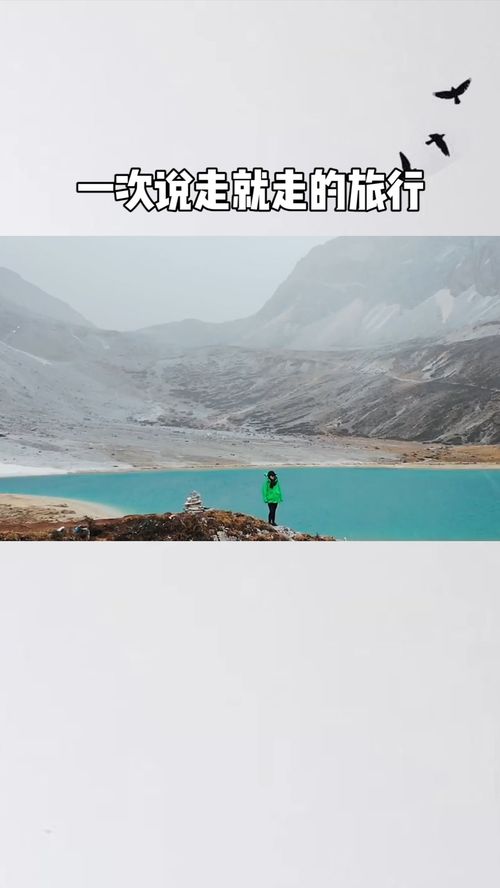 开局为爱冲锋，一场奋不顾身的旅程