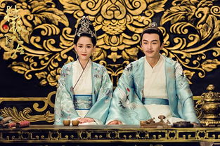 将门皇后，权力与荣耀的交织（100集深度解析）