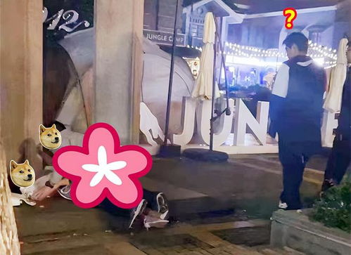 警方辟谣，女子喝醉被强暴系谣言——真相背后的深思