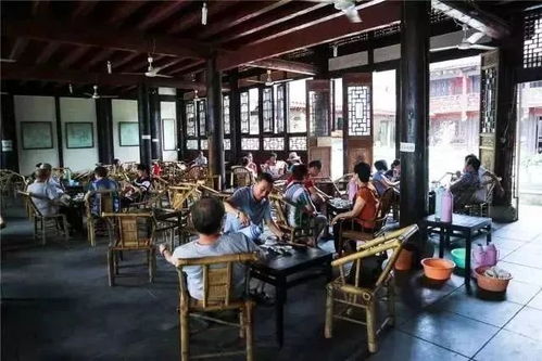 蒂芙尼成都太古里店遭遇不幸事件，探究背后的原因与反思
