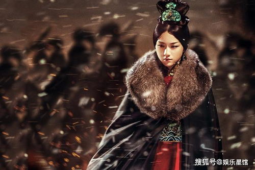东宫弃妃，宫廷纷争与人性的复杂纠葛（71集深度解析）