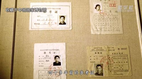 霸秦，历史风云的百集叙事