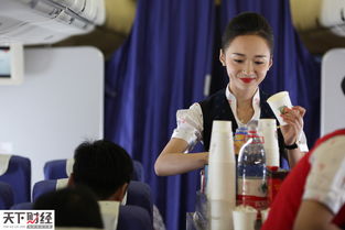 空姐背后的故事（杨妍篇），65集连载之旅