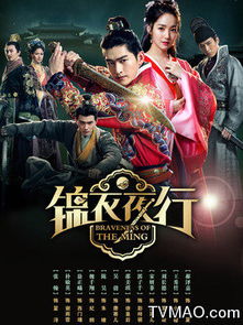 锦衣夜行（100集），华丽背后的故事与深意