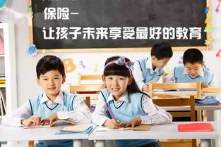 望子成龙，教育之路的探寻与期待（第52集合）