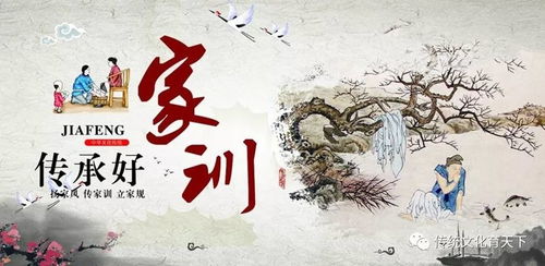 以我深情祭岁月，时光中的88个故事