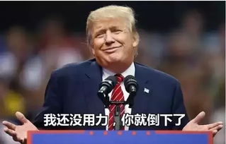 特朗普胜选将如何影响美国
