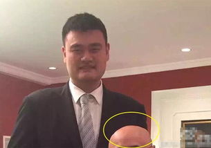 姚明辞职后首次现身，幽默发言展现从容与智慧