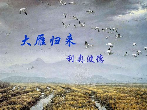 雁归来（65集）剧情深度解析