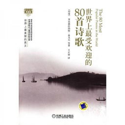 6564下的中年世界，苟日中的生活探索（80集）