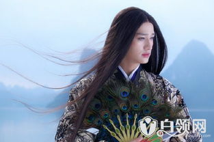 瞎娘，陈思琪的奋斗人生（80集连续剧剧情解析）
