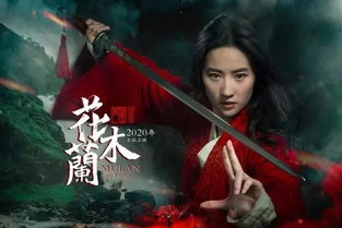 染指风云，权笑涵的崛起之路