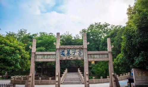 我的总裁老公，豪又帅（88集）