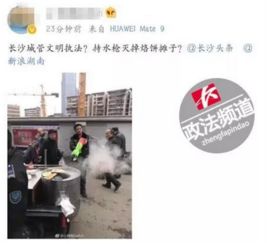多方回应城管踢翻蔬菜推倒摊贩事件，城市管理与小贩权益的反思与探讨
