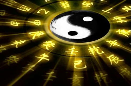我开启了上帝之眼全70集，探寻神秘世界的奥秘