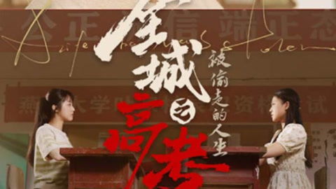 被偷走的人生