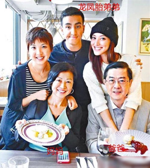 霍总的龙凤胎与你长相酷似（97集）
