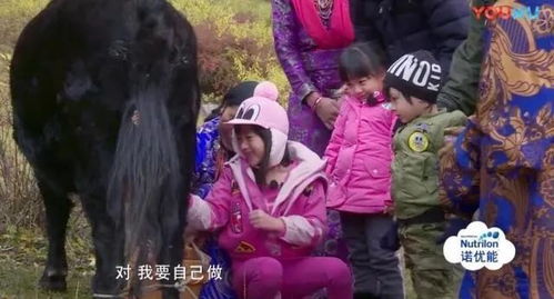 九零之开局拯救乖女儿，一个时代的温情与救赎之旅