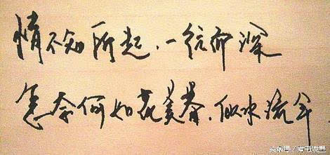 情深不知所起，一部情感交织的81集长篇巨献